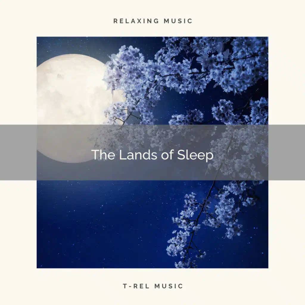 4 Sleep: The Lands of Sleep