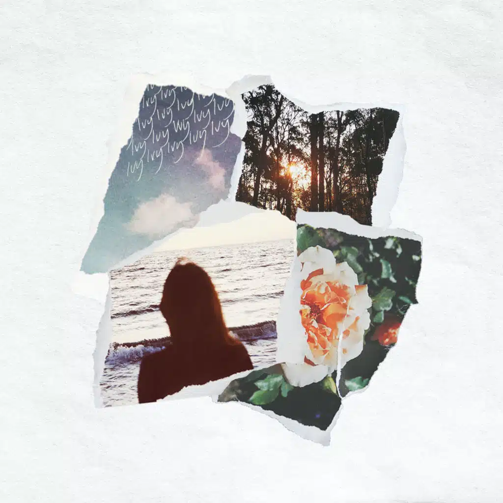 Sundreamer & edapollo