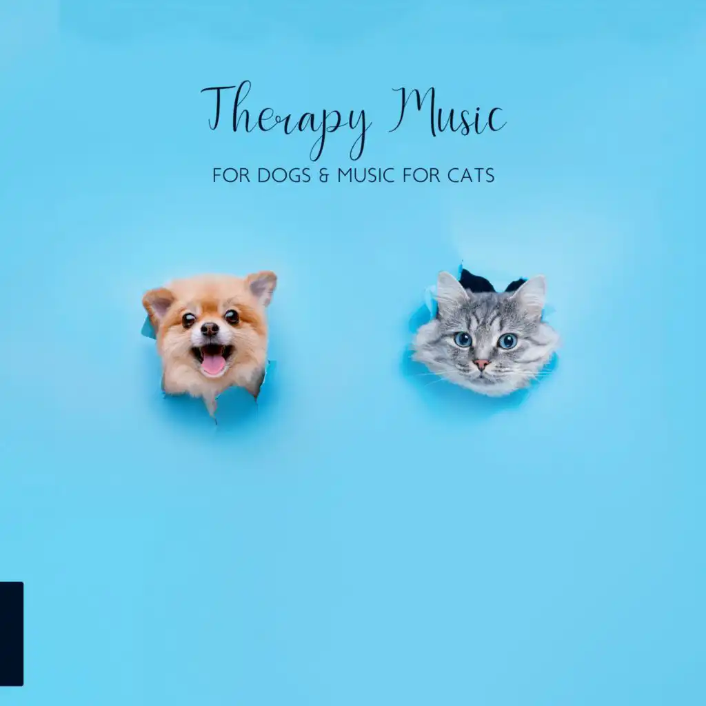 Pet Music Academy & Pet Care Club / Deep Sleep Group