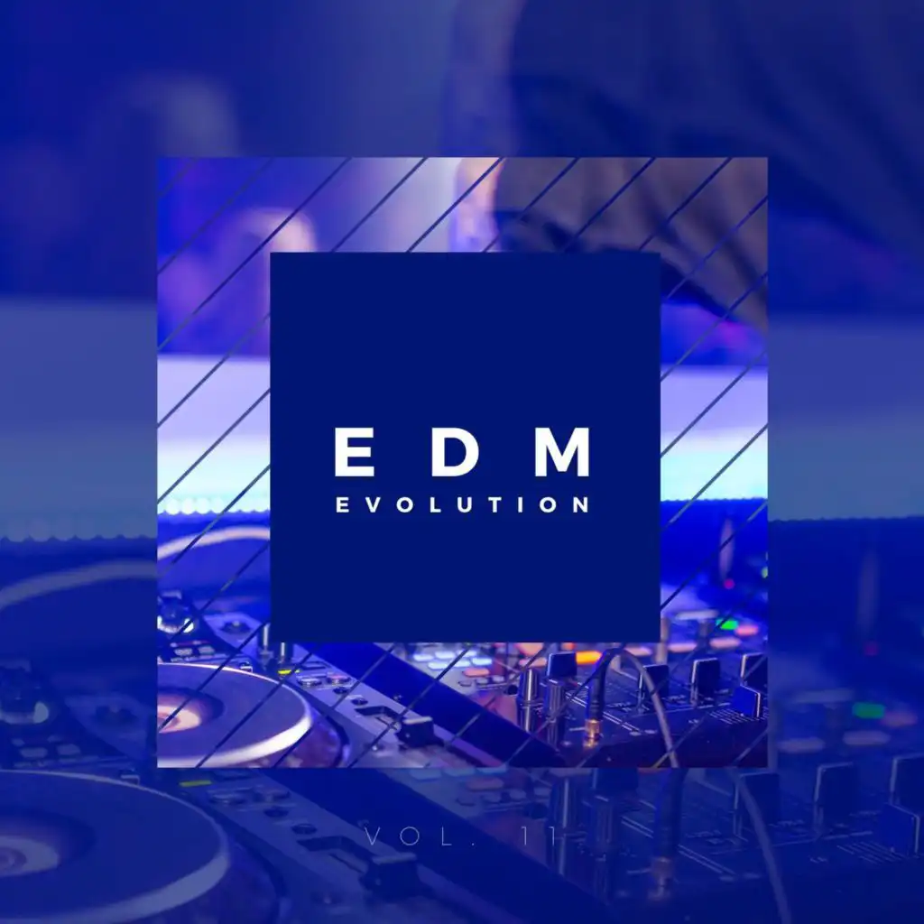 EDM Evolution - Vol. 11