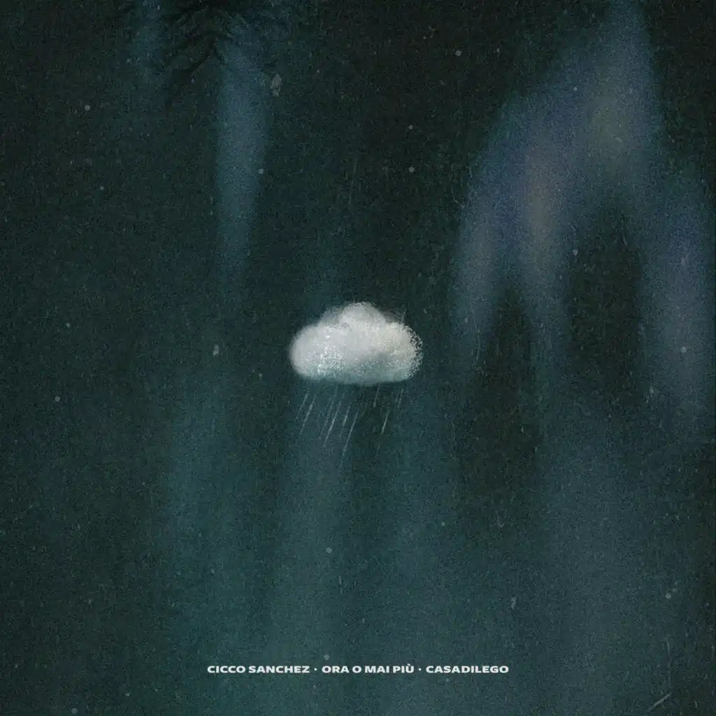 Cicco Sanchez & Casadilego