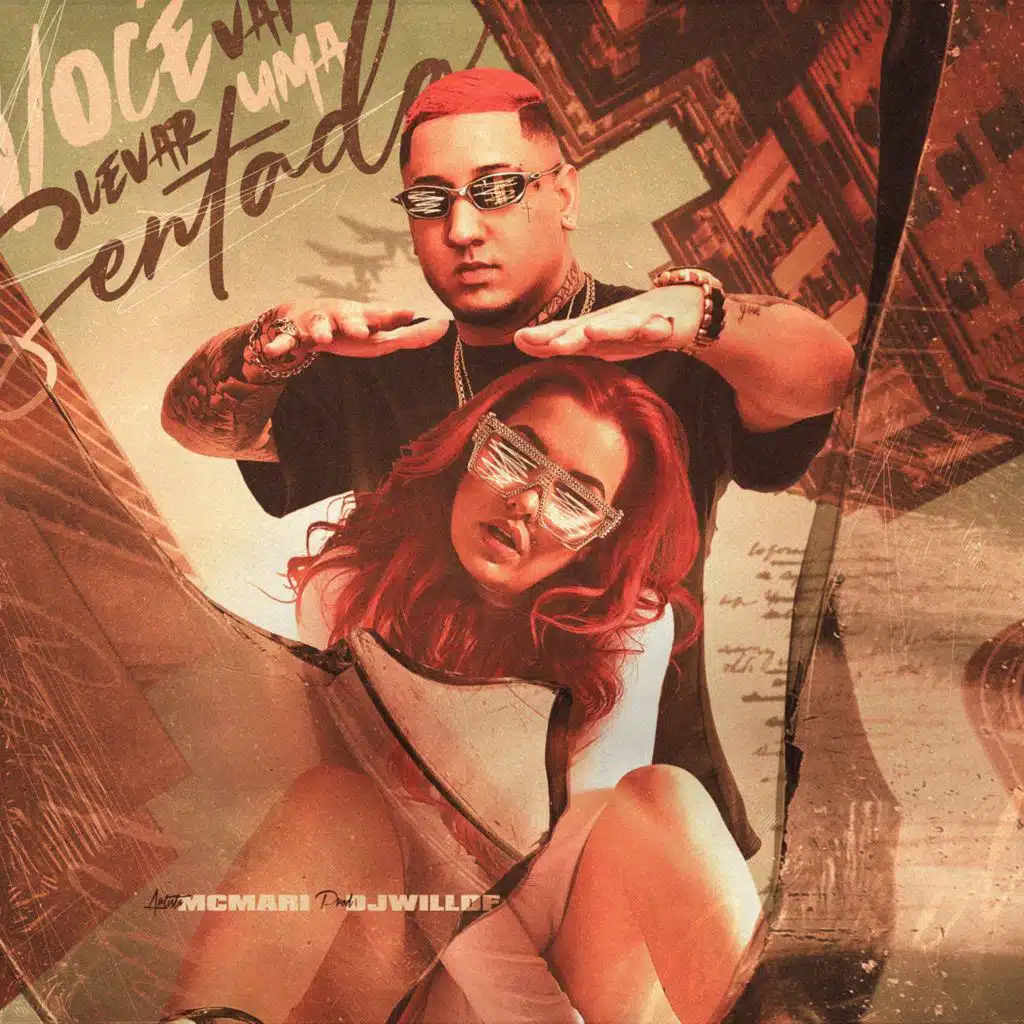 Você Vai Levar Uma Sentada (feat. Dj Will DF)