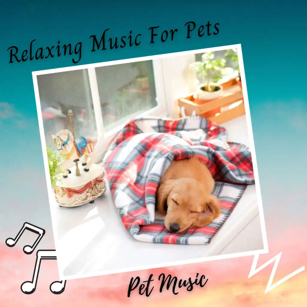 Pet Music: Relaxing Music For Pets