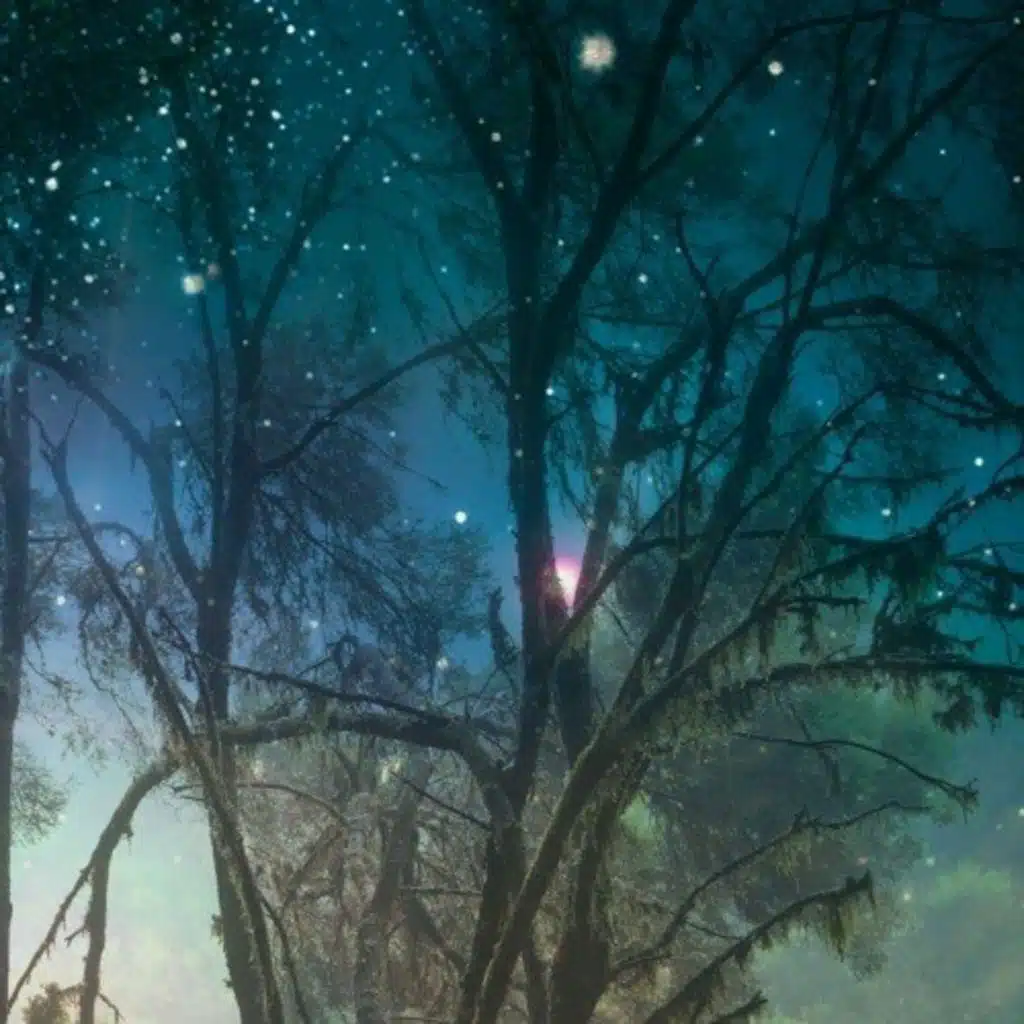 ※ David Bowie, Kristen Wiig - Space Oddity X Daishi Dance, Mika Nakashima - Memory