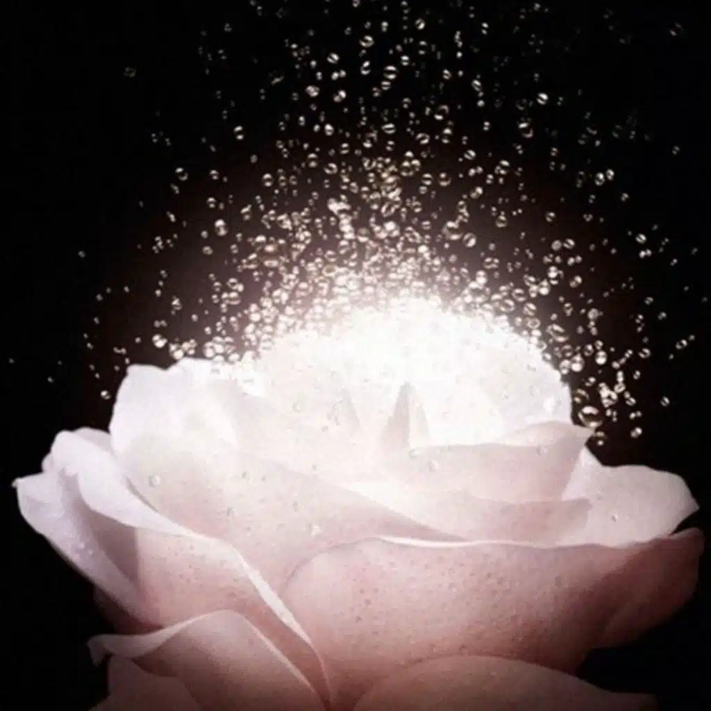 ※ Kirinji, Awich - 爆ぜる心臓 X Kučka - Real