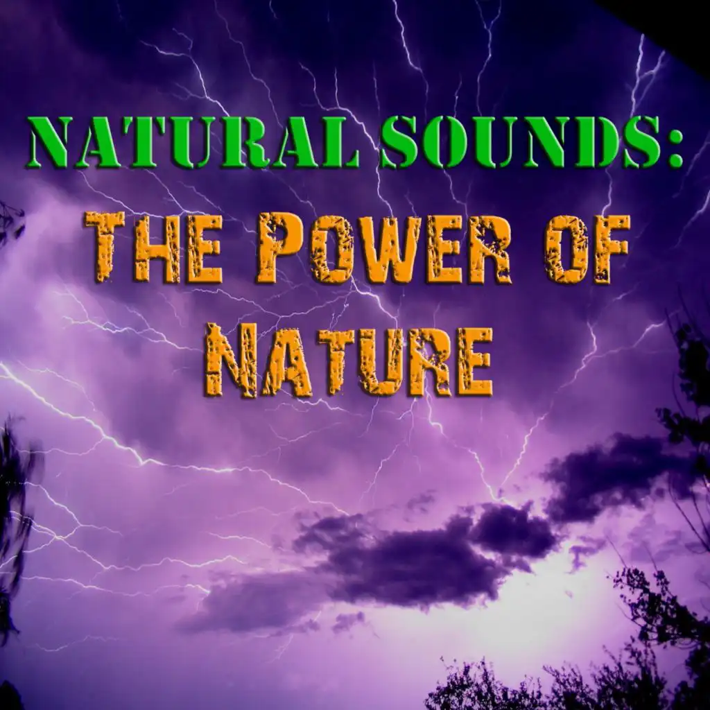 Natural Sounds: The Power Of Nature
