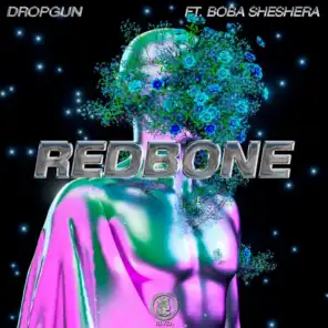 Dropgun & Boba Sheshera