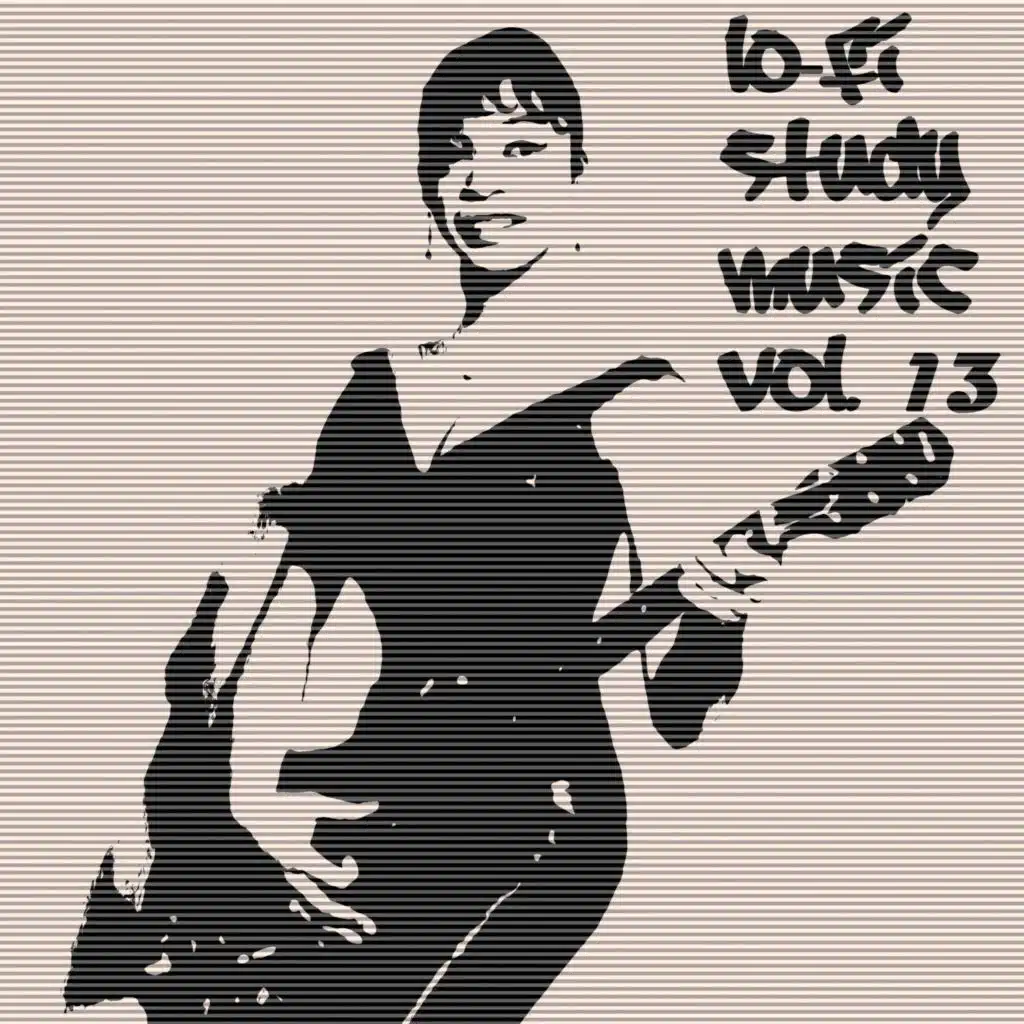 Lo-Fi Study Music, Vol. 13