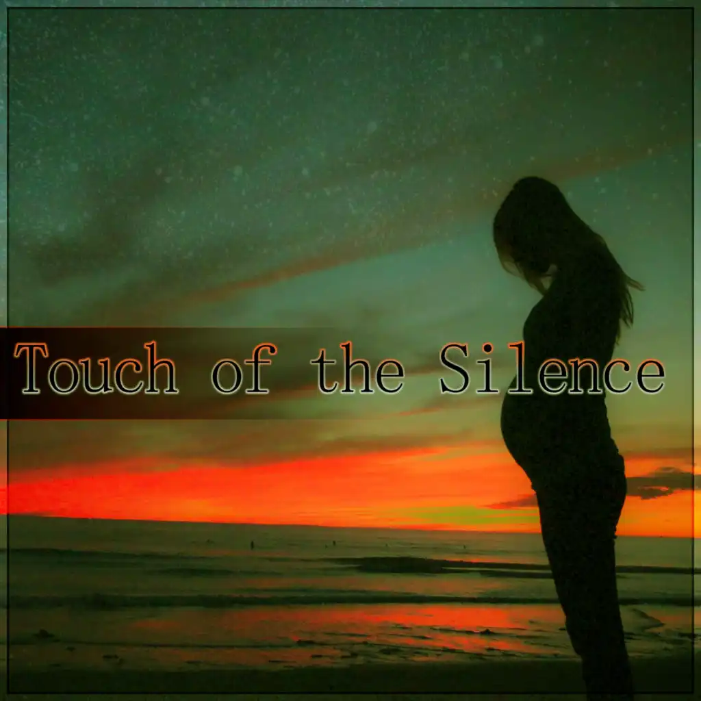 Touch of the Silence (Natur Music)