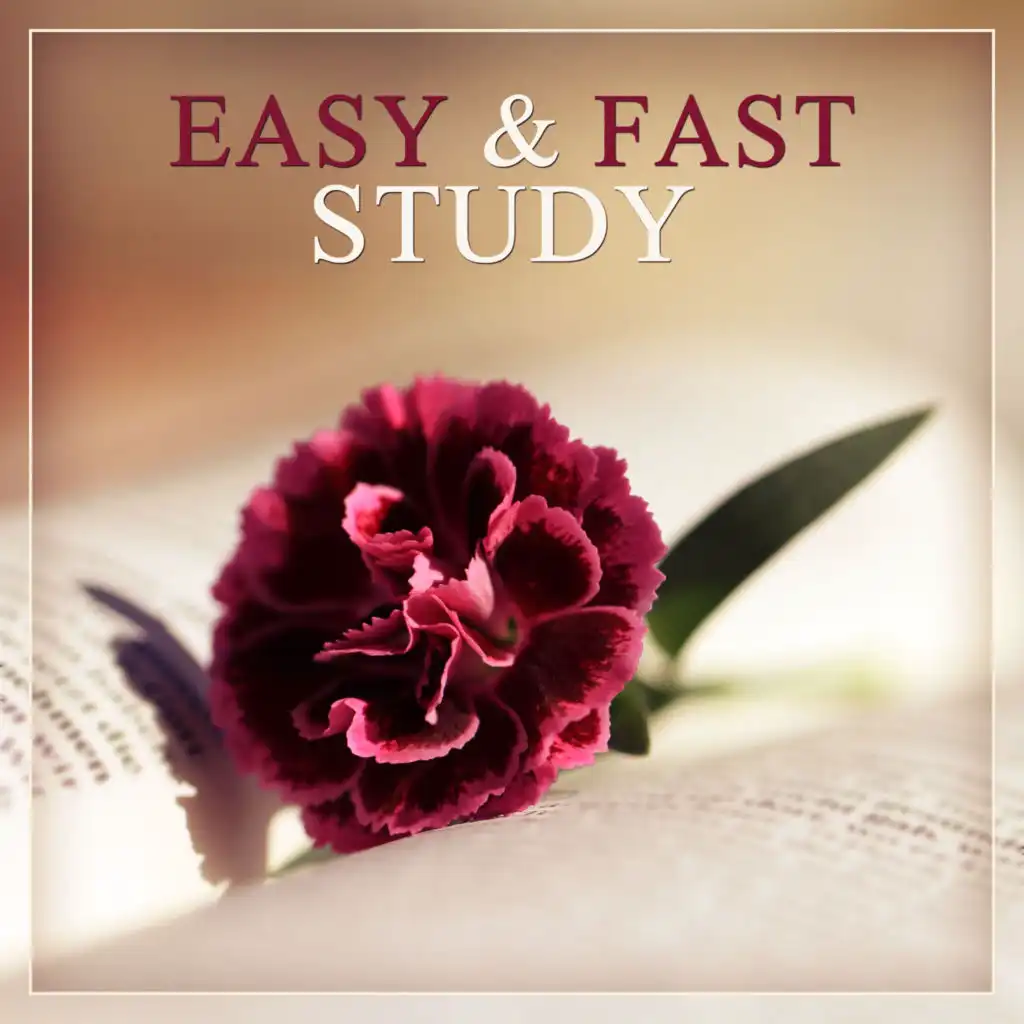 Easy & Fast Study – Most Calming Sounds for Study, Improve Concentration, Focus on Task, Music to Find Peace, Resting While Reading