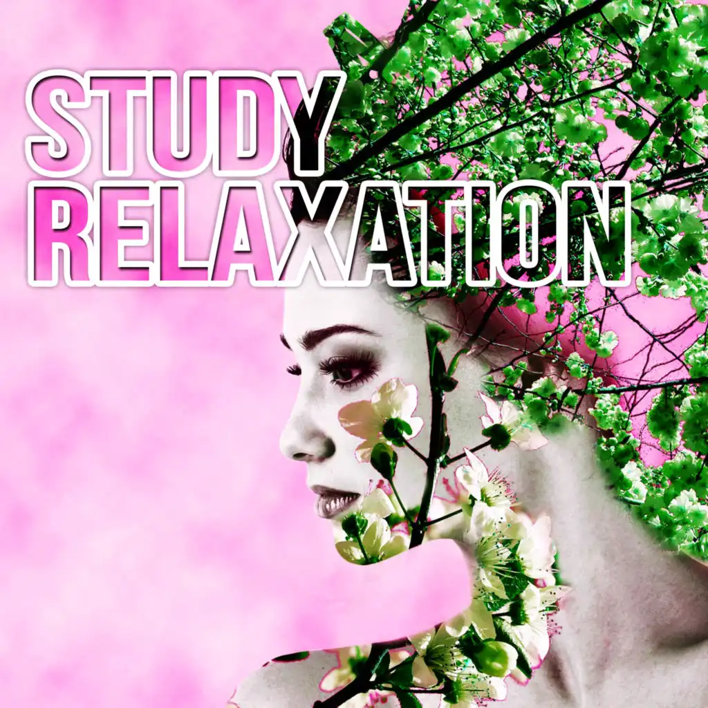 Study Relaxation