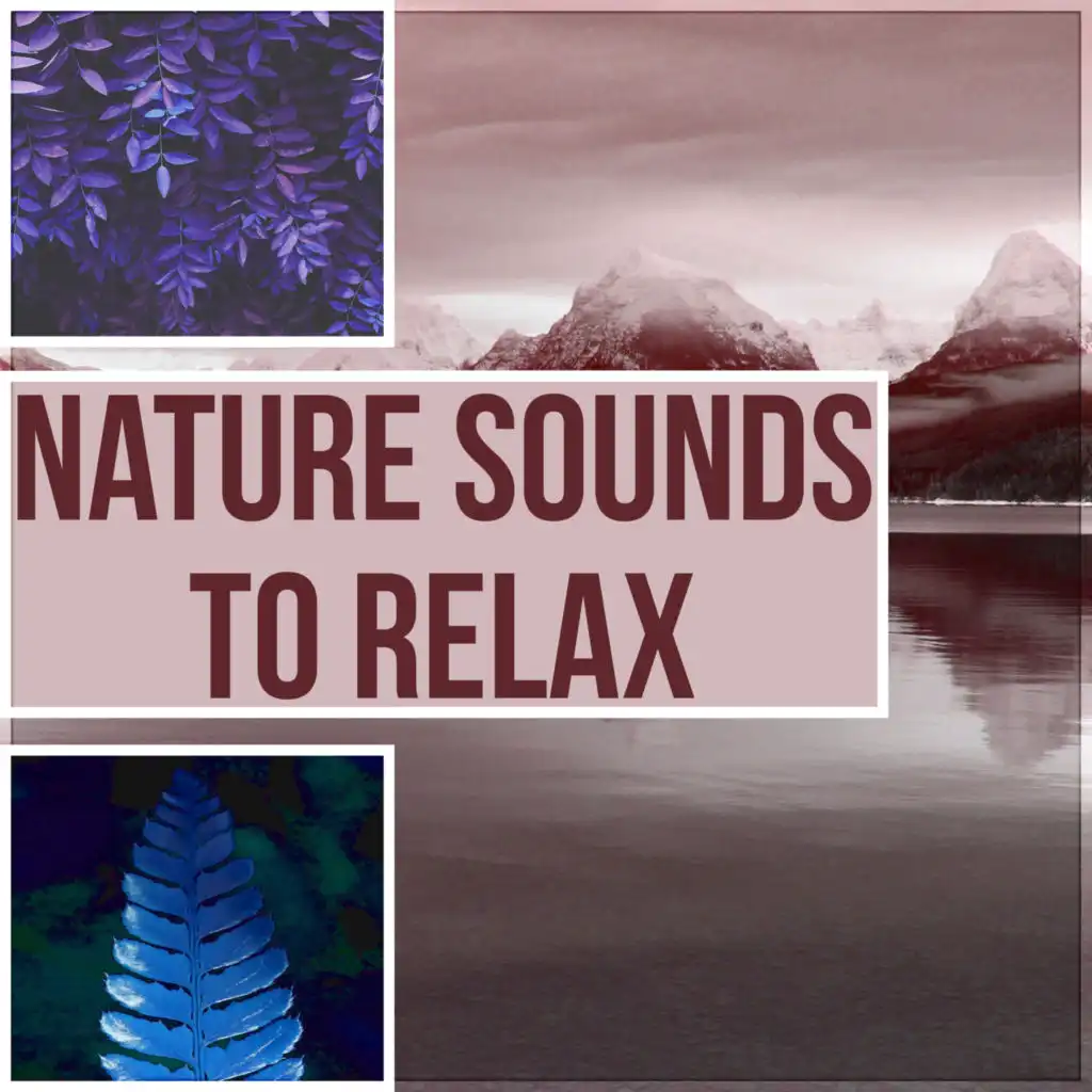 Nature Sounds to Relax