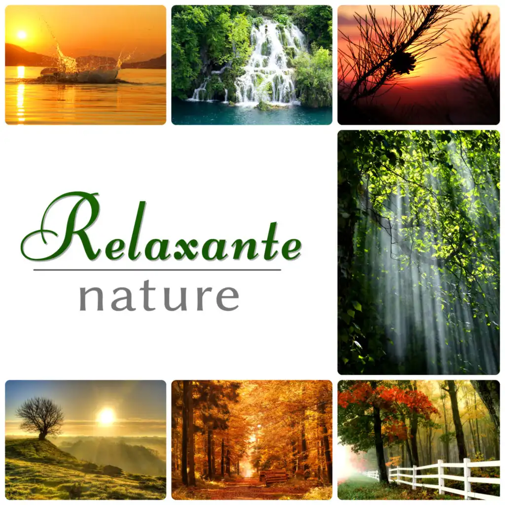 Relaxation – sons de la nature, méditation de yoga, musique new age, sommeil profond, massage et spa, musique reiki, endormir, concentration, Ayurveda