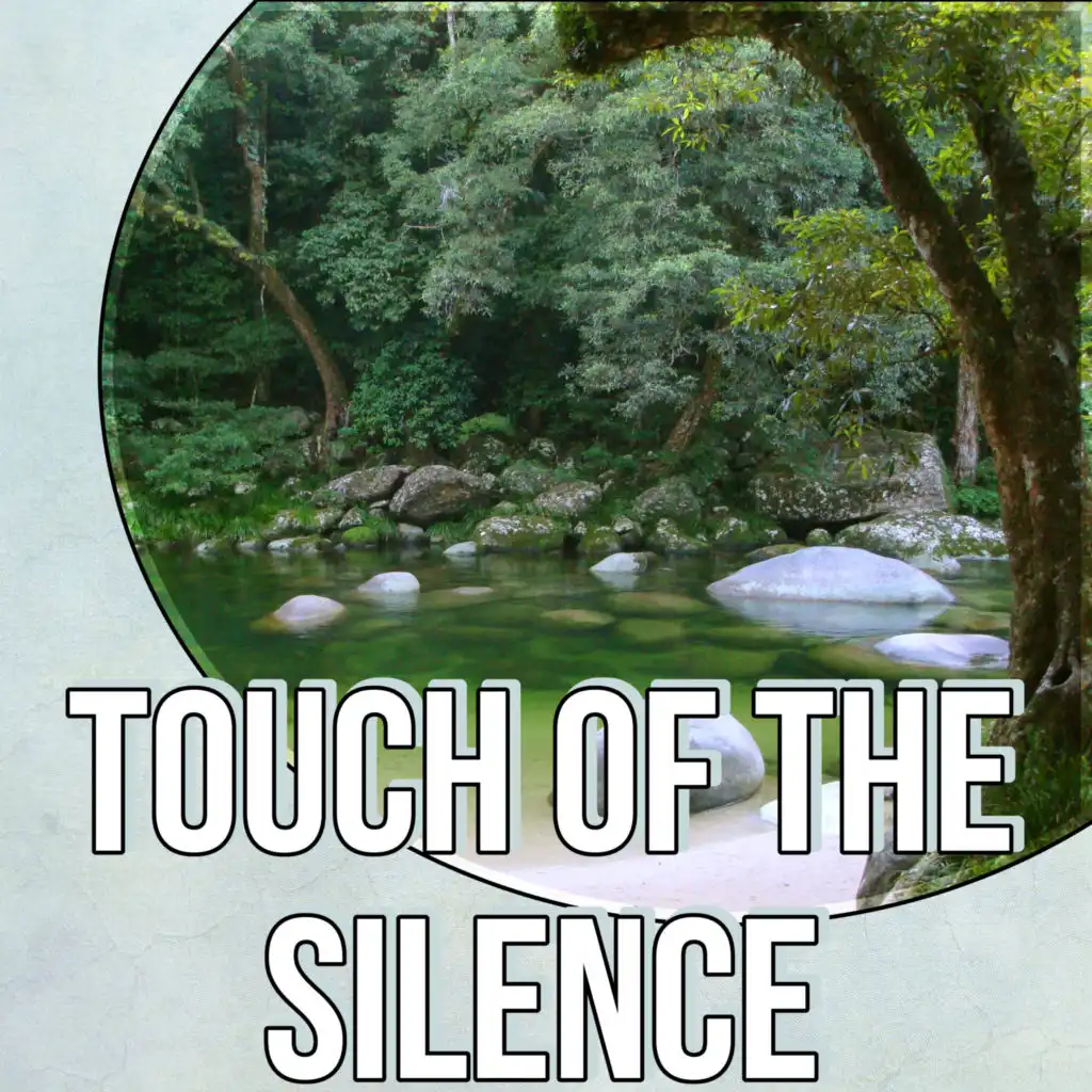 Touch of the Silence (Romantic Music)