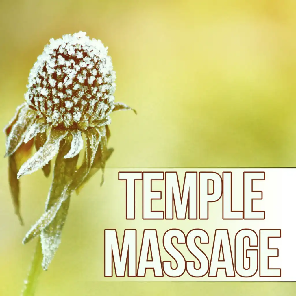 Temple Massage