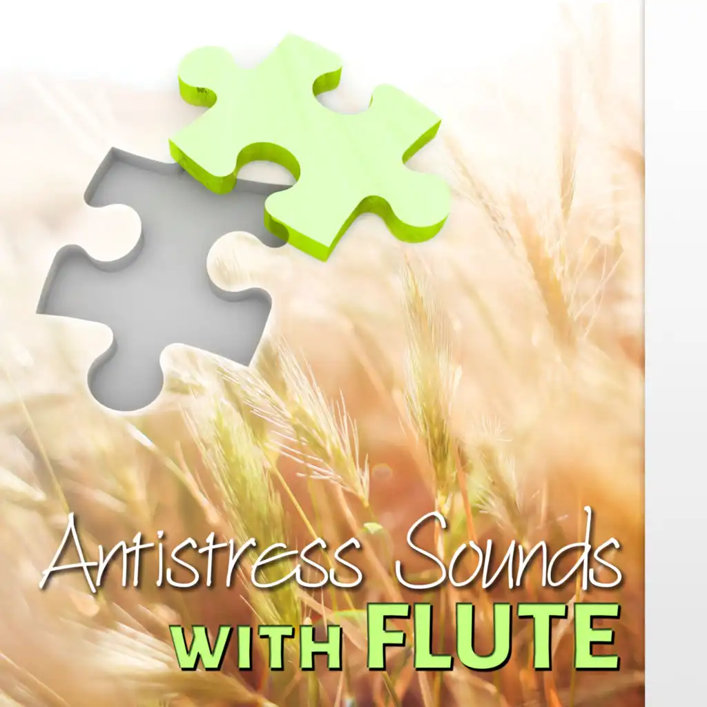 Time for Study with Notes (Flute Sounds)