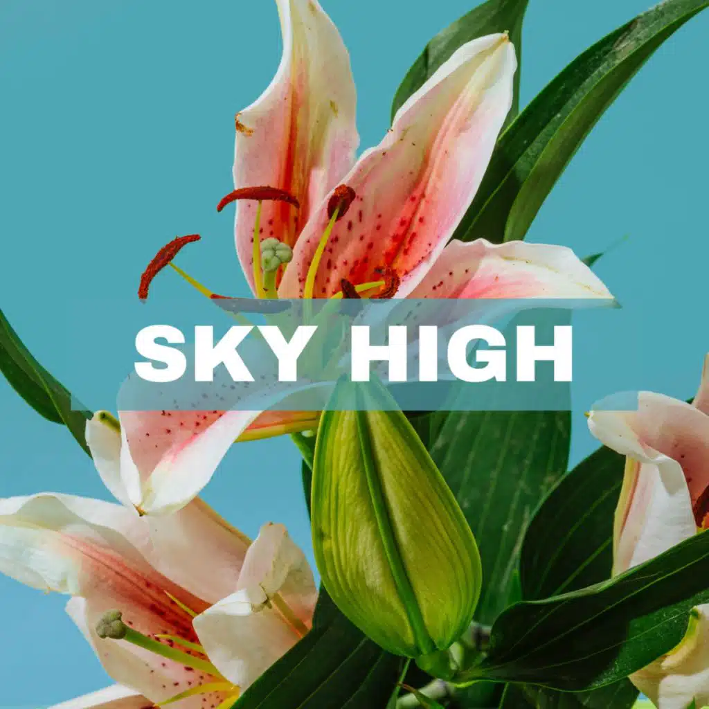 Sky High