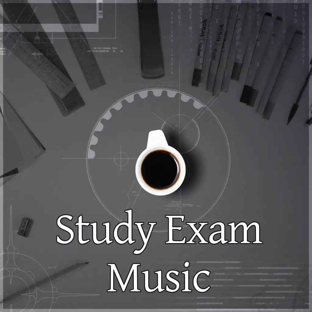 Study Exam Music – Sounds Help You Increase Concentration and Memory, Calm Down Emotions and Focus on the Task, Music for Studying, Piano Sounds to Increase Brain Possibility, Instrumental Relaxing Music for Reading