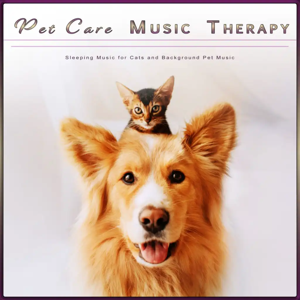 Music For Cats and Dogs