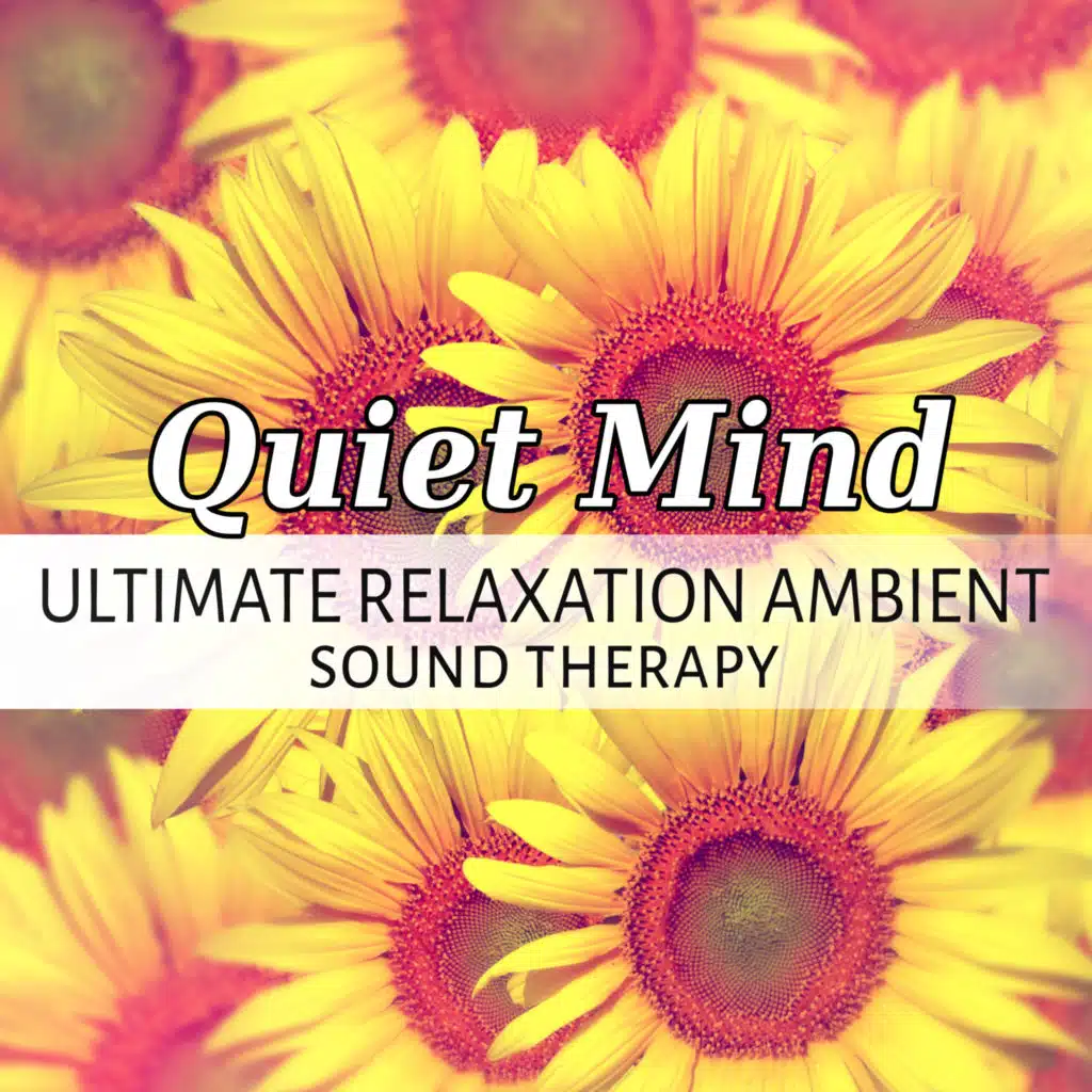 Massage Music