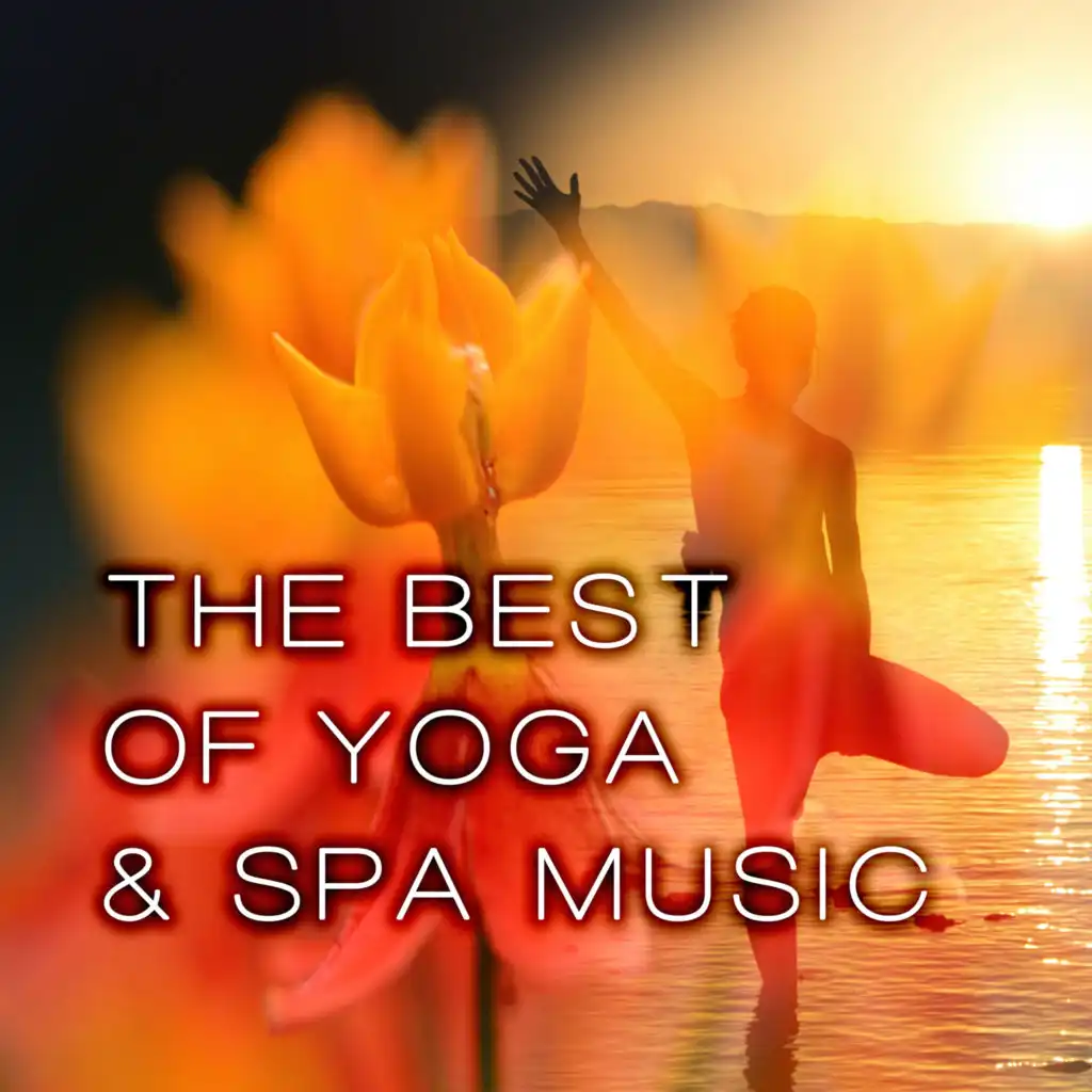 The Best of Yoga & Spa Music - Relaxation, Mindfullnes Meditation, Spa, New Age, Reiki, Tai Chi