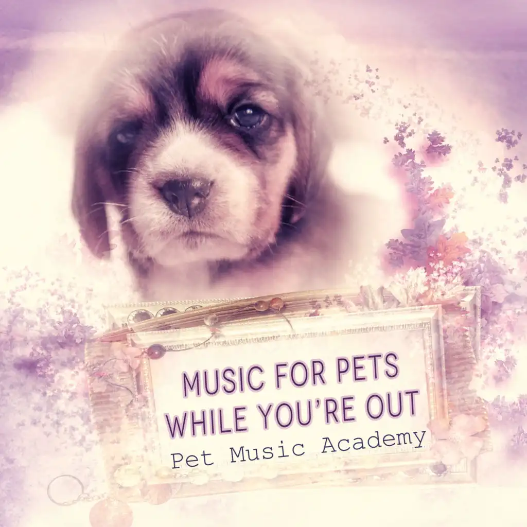 Music for Pets While You Are Out - Instrumental Mellow Music and Calming Down Nature Sounds to Relax Your Dog & Cat When They Are Alone at Home, Soft Melodies for Puppies & Kittens That Will Keep Them Company