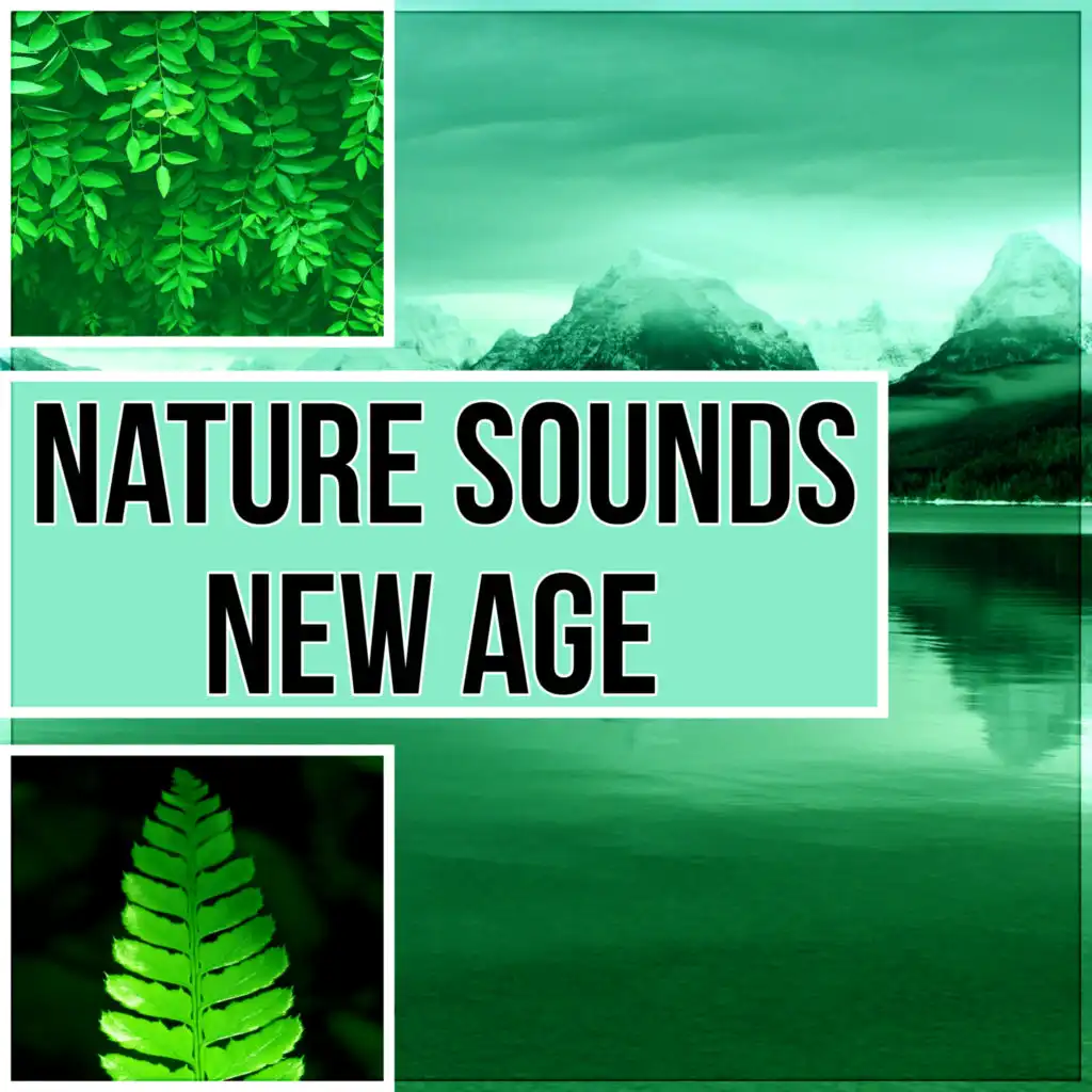 Nature Sounds New Age - Massage Therapy, Intimate Moments, Sensual Massage Music for Aromatherapy, Home Spa