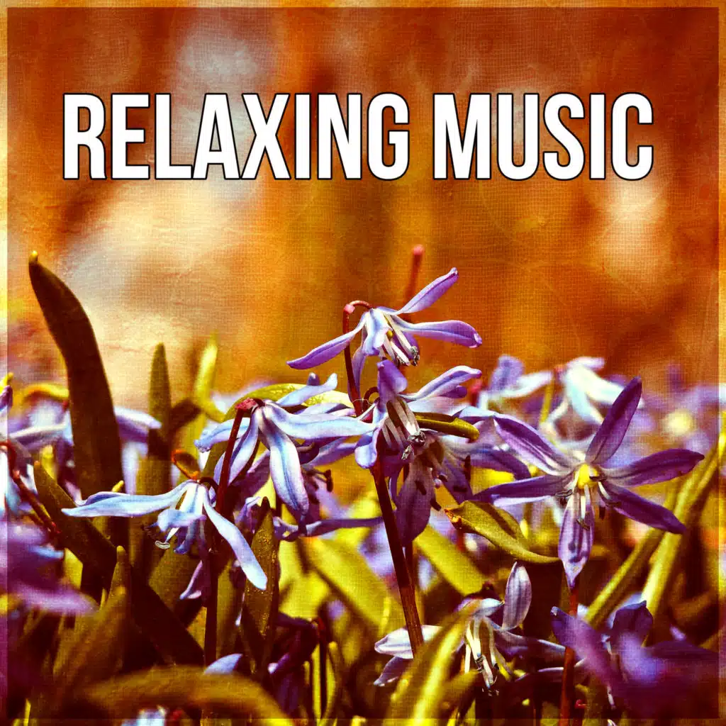 Relaxing Music – Total Relax, Asian Zen, SPA Relaxation, Yoga Meditation, Nature, Tranquility SPA, Reduce Stress