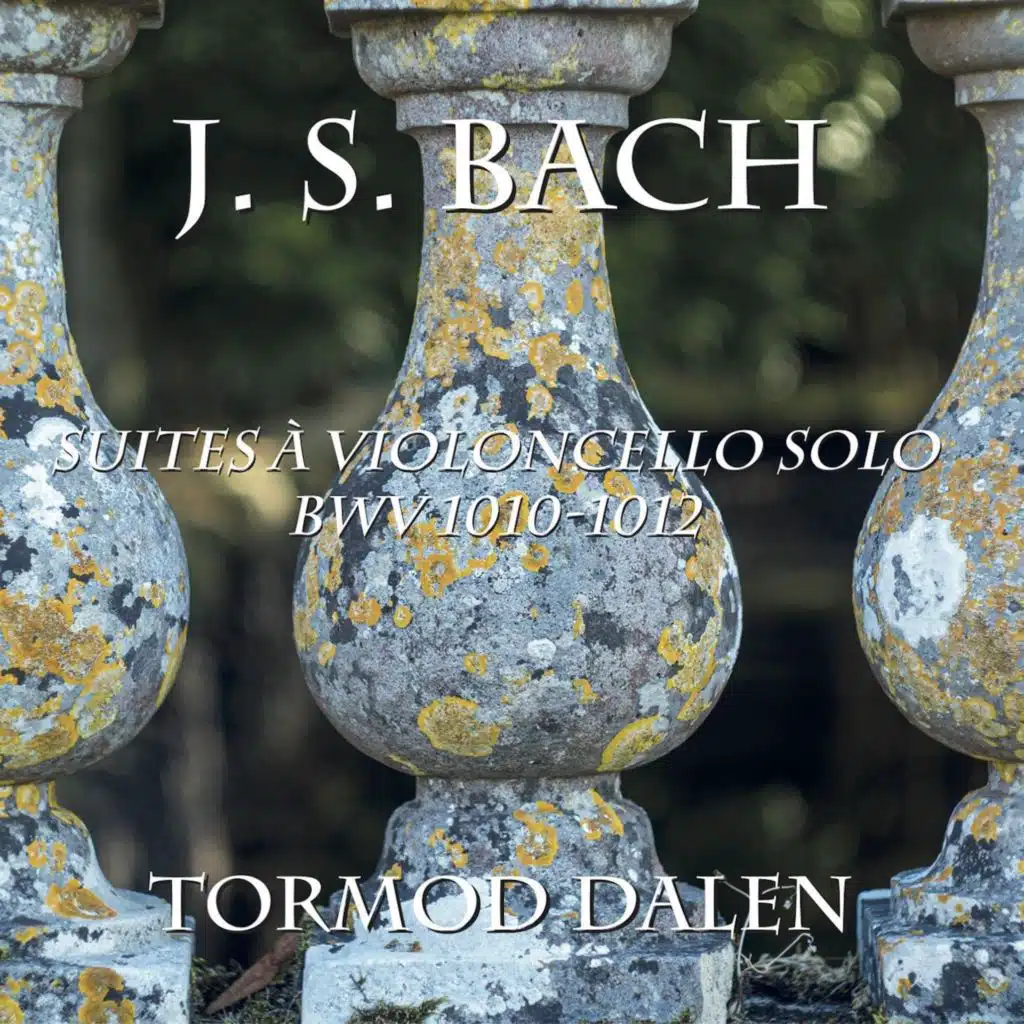 Cello Suite No. 6 in D Major, BWV 1012: I. Prelude