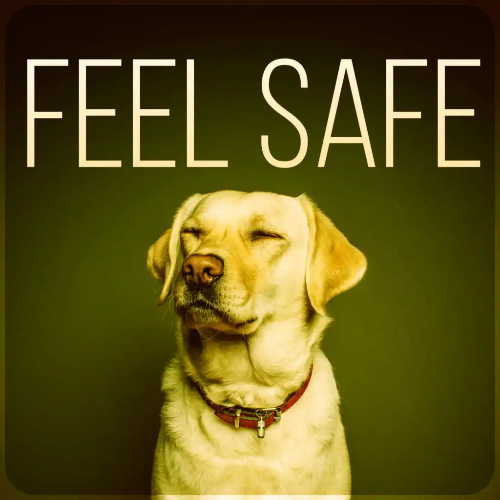 Feel Safe – Relaxing Music for Your Pet, Calm Your Anxious Dog, Nature Sounds for Relaxation, New Age Music for Puppy & Kitty, Music for Cats to Calm Down