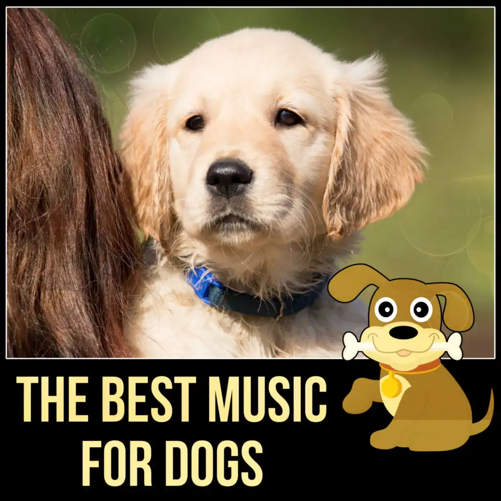 The Best Music for Dogs – Happy Animal, New Age Music for Puppy & Kitty, Music for Cats to Calm Down, Relaxing Music for Your Pet, Calm Your Anxious Dog, Nature Sounds for Relaxation