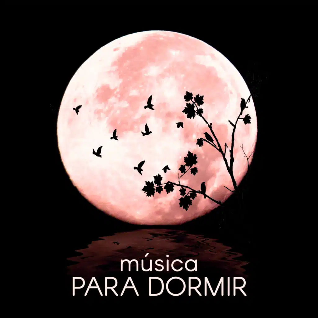 Música para Dormir - Música New Age para la Relajación, el Yoga y la Meditación, la Música de Fondo para el Masaje, Spa & Wellness, el Sonido del Océano, la Lluvia con Música de Piano y Música de la Flauta