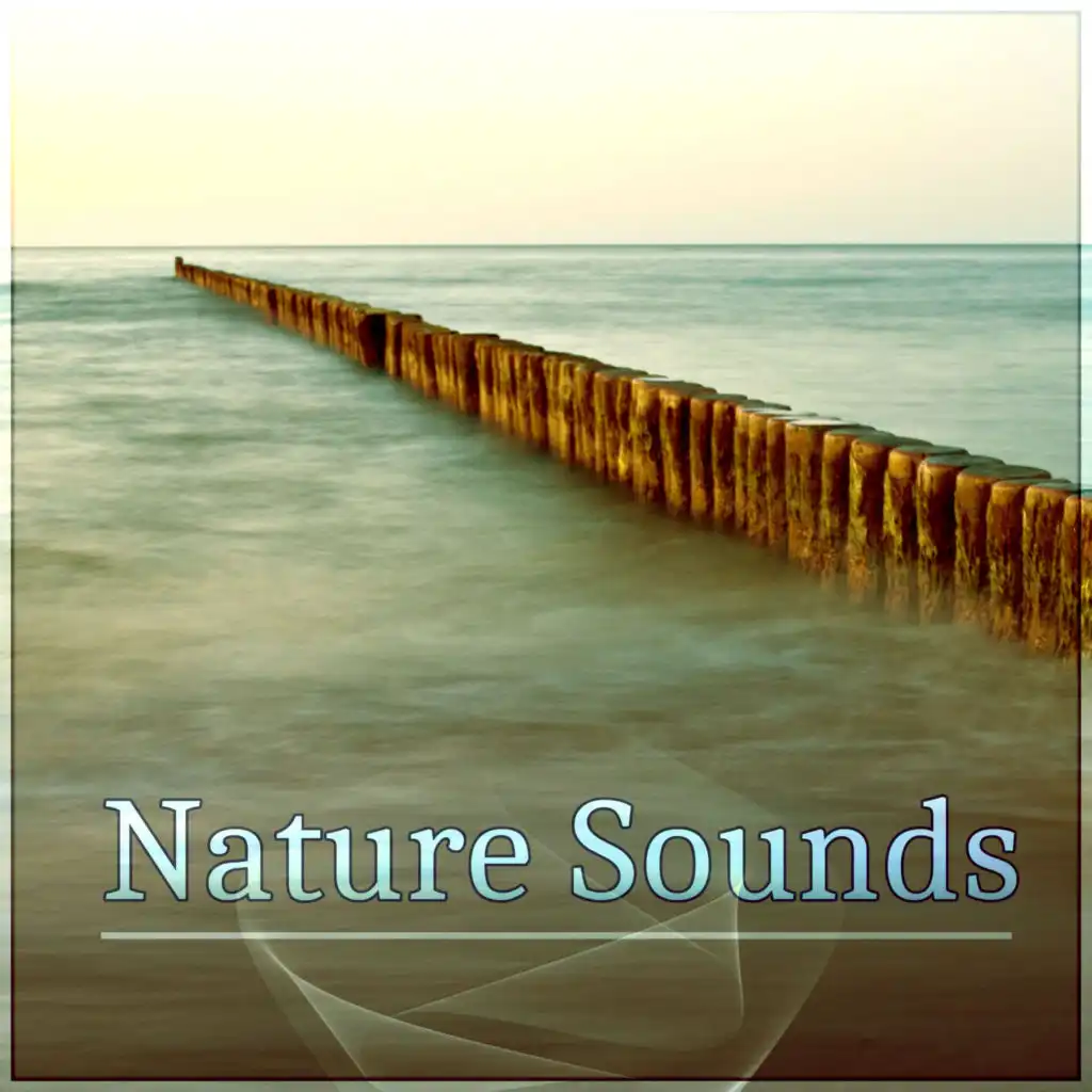 Nature Sounds (Sea)