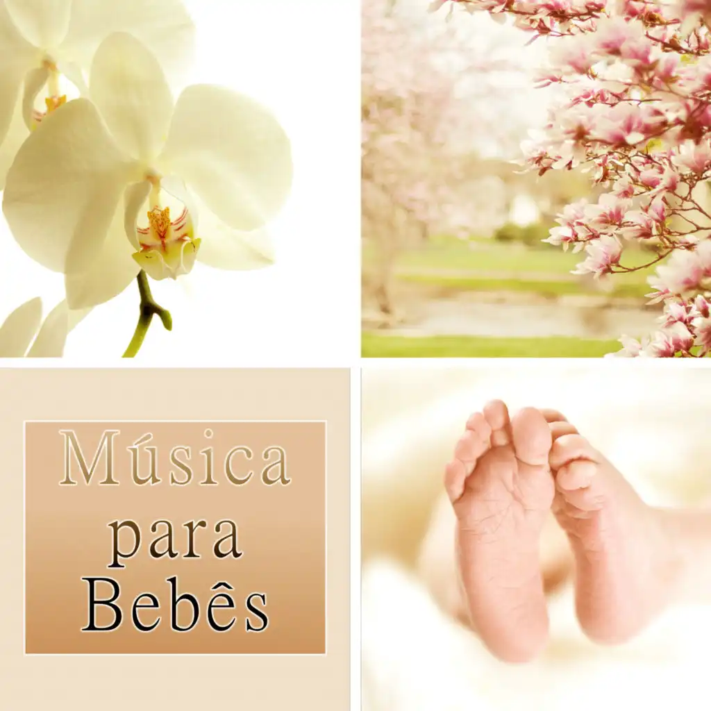 Doces Sonhos (Musica de Relaxamento)