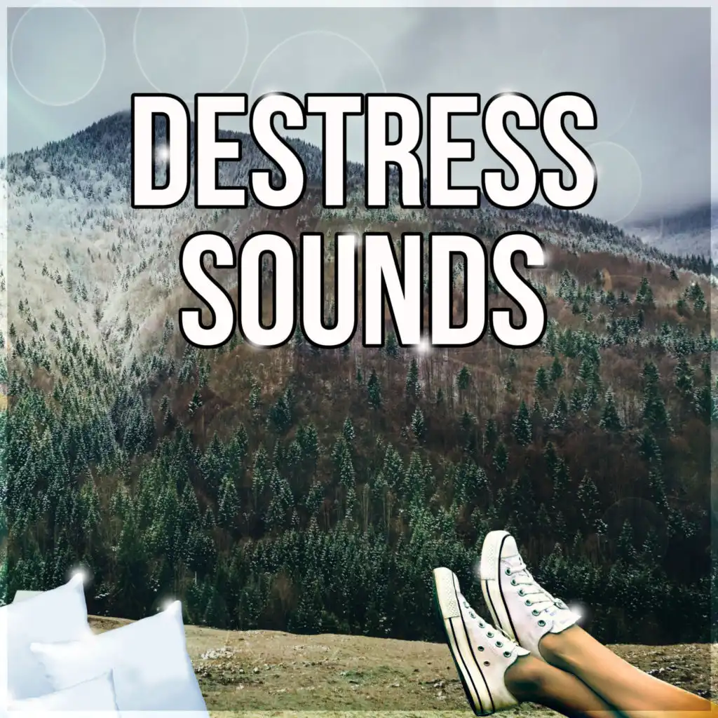 Destress Sounds - Music for Concentration, Focus on Learning, Time for Study, Effective Working Music