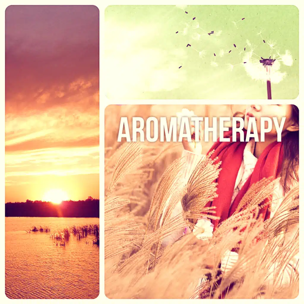 Zen Meditation Sounds