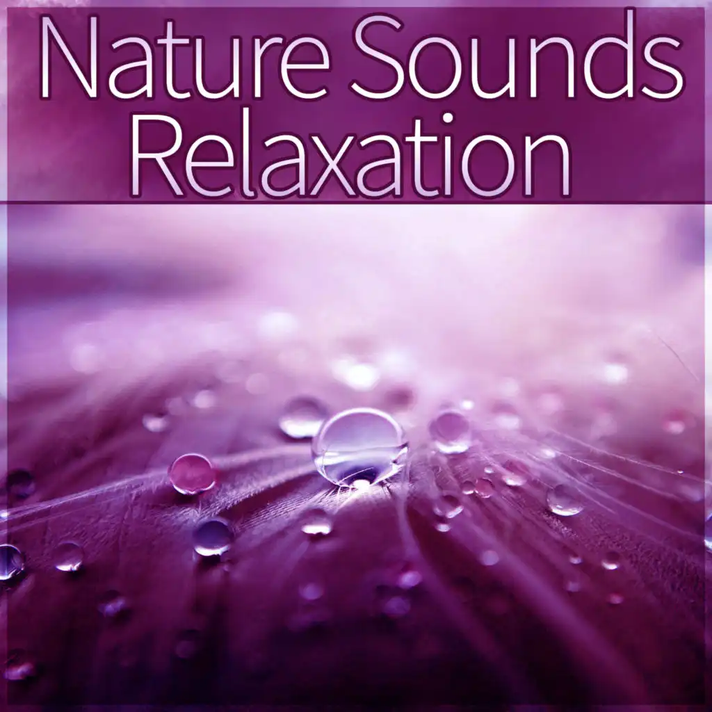 Nature Sounds Relaxation