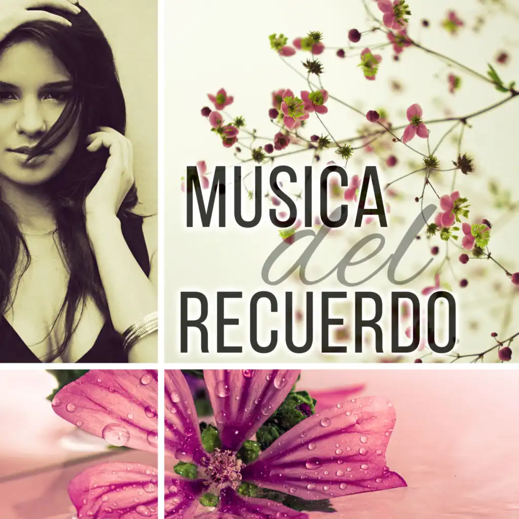 Musica del Recuerdo - Musica para Relajacion, Musica Relajante, Musica Reiki, Sonidos de la Naturaleza, Música de Ambiente para de Masaje, Masaje Erótico