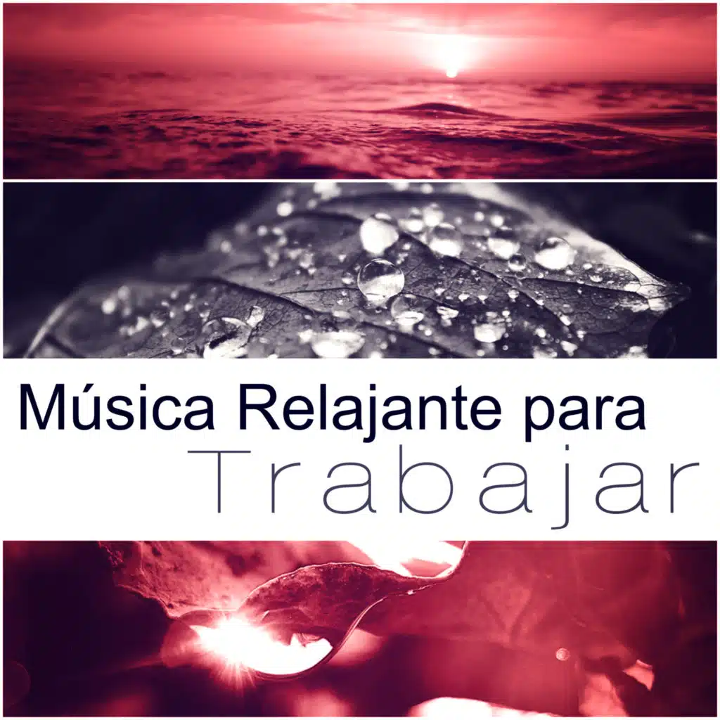 Música Relajante para Trabajar - Energía Positiva para Controlar la Ansiedad, Sonidos del Mar para Dormir, Música New Age para la Relajación, Meditar con Sonidos de la Naturaleza