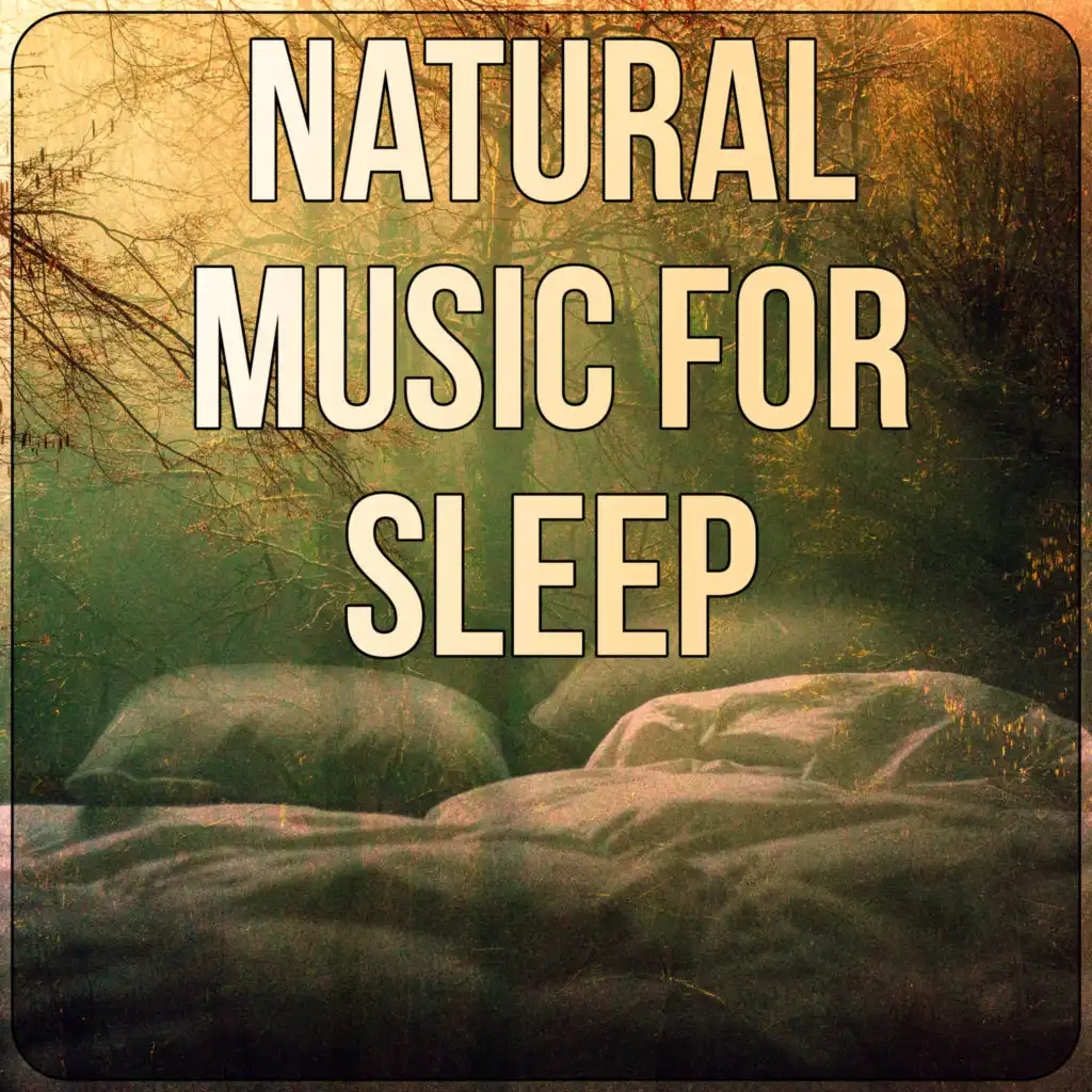 Relaxation Sleep (Flute Melodies)