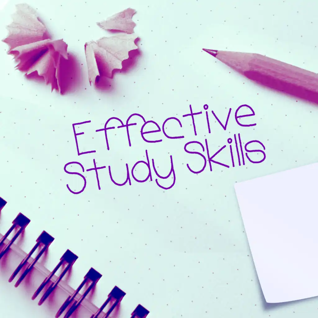 Effective Study Skills