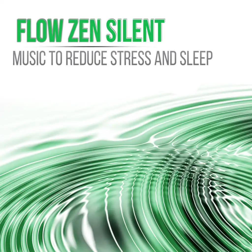 Flow Zen Silent Meditation