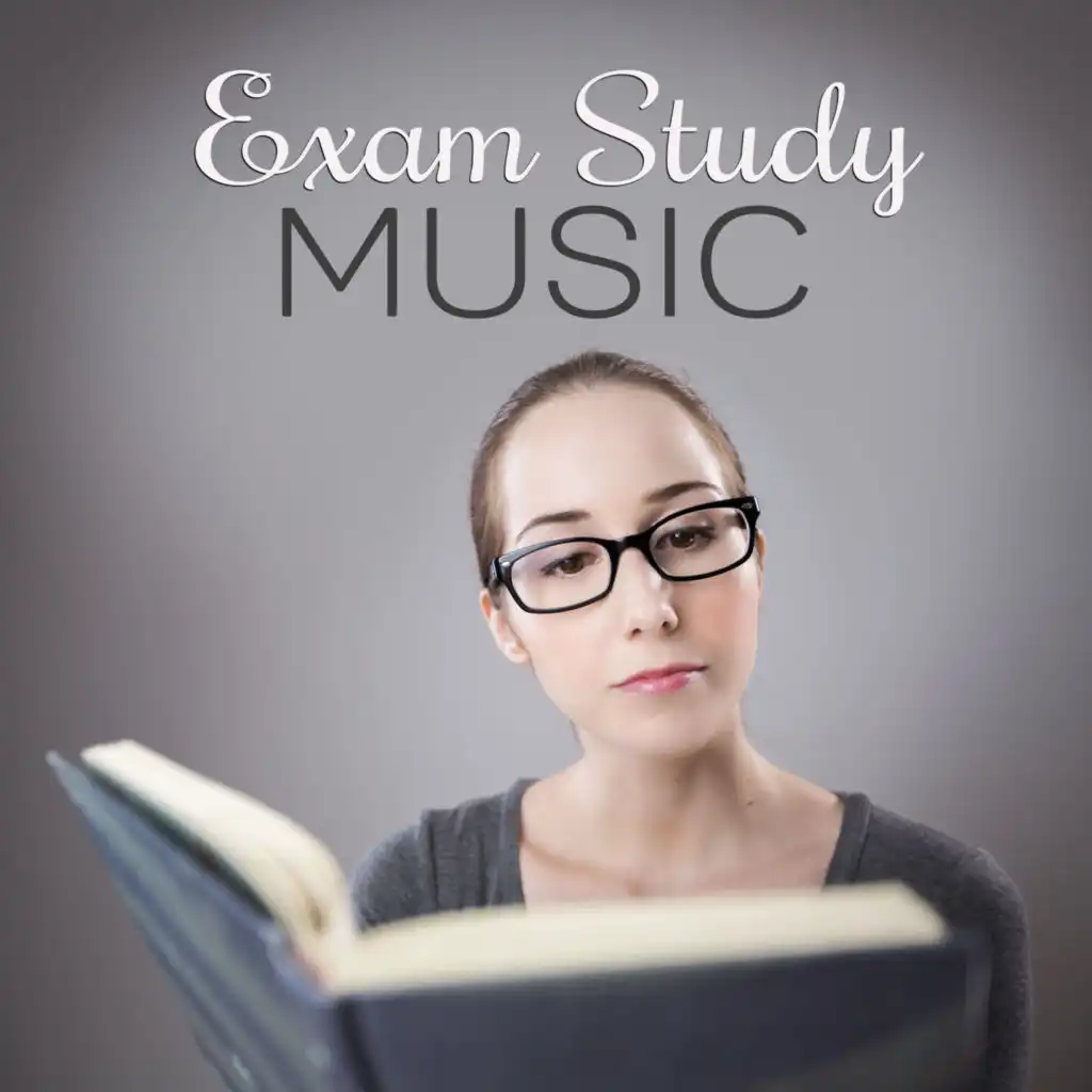 Exam Study Music – Calm Background to Increase Brain Power & Focus on Work,  Improve Memory, Gentle Background for Reading & Brain Training