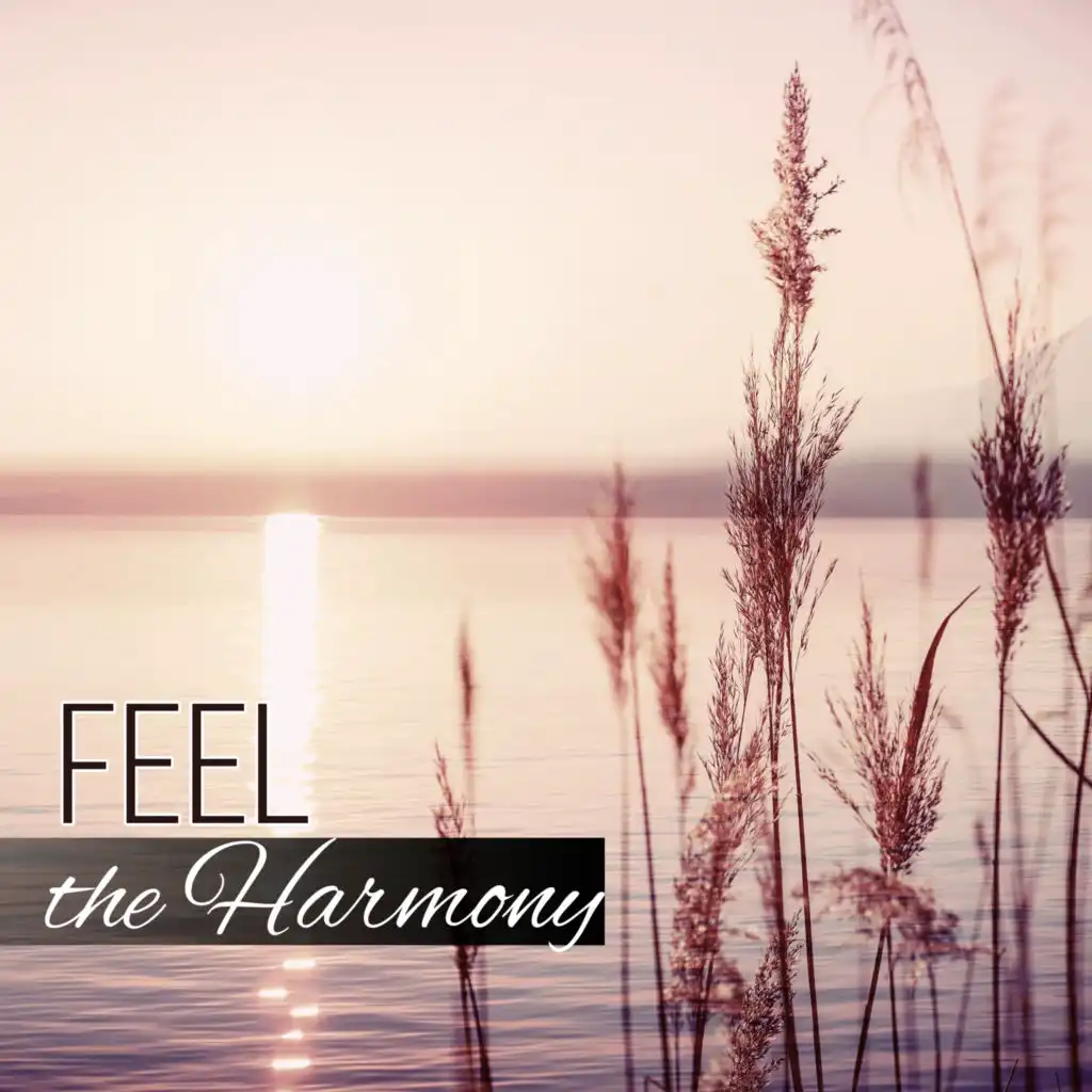 Feel the Harmony - New Age Music to Relax, Healing Sounds to Cure Insomnia, Chanting Om with Yoga Meditation, White Noises for Deep Sleep, Spiritual Reflections, Relaxation and Chill Out