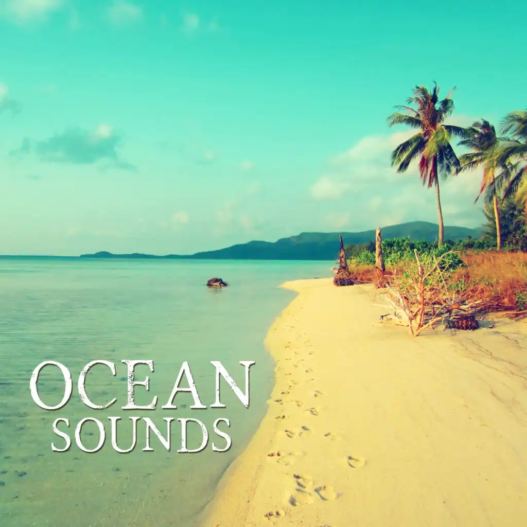 Ocean Waves Sounds