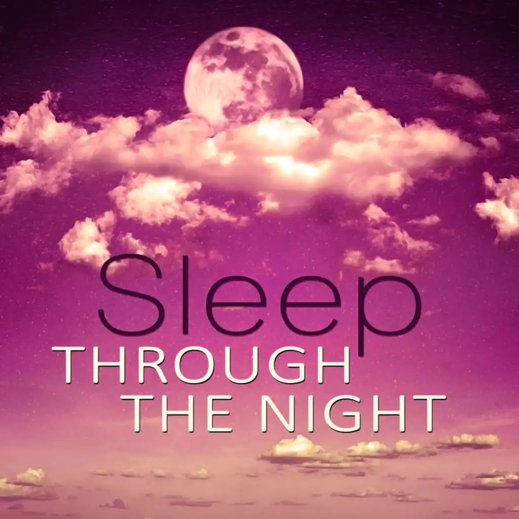 Sleep Through the Night