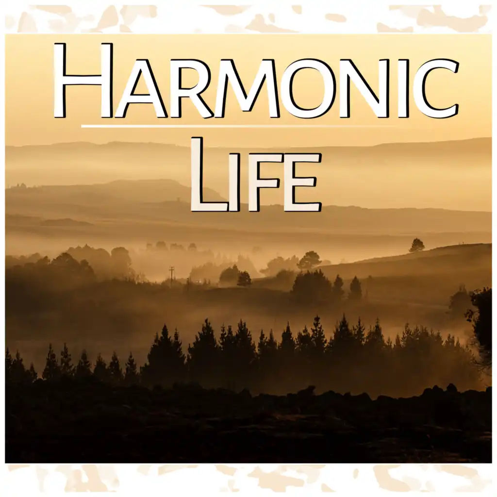 Harmonic Life - Yoga, Relaxation, Meditation, Reiki, Well Being, Perfect Harmony, Relaxation Music