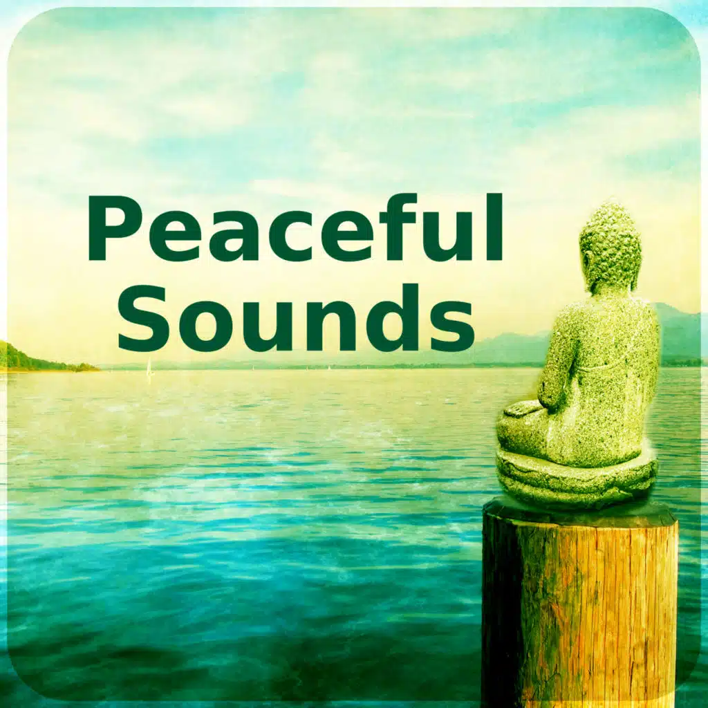 Peaceful Sounds – Keep Your Soul, Spiritual Healing, Mental Detox, New Age, Soul Connection, My Interior, Yoga Spirit