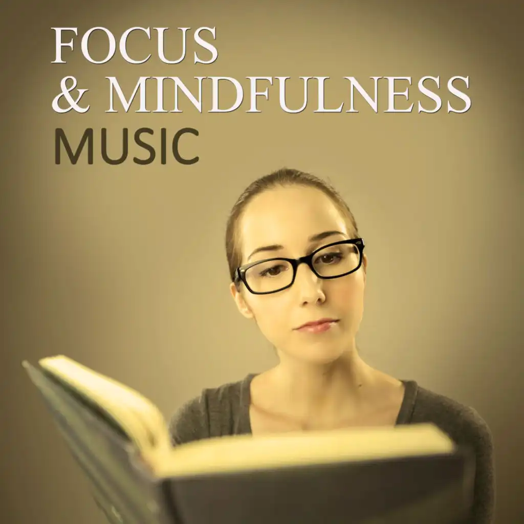 Focus & Mindfulness Music – Gentle New Age Music for Improve Concentration on the Tasks, Calm Down Emotions and Work Better, Music for Studying, Instrumental Relaxing Music for Learning