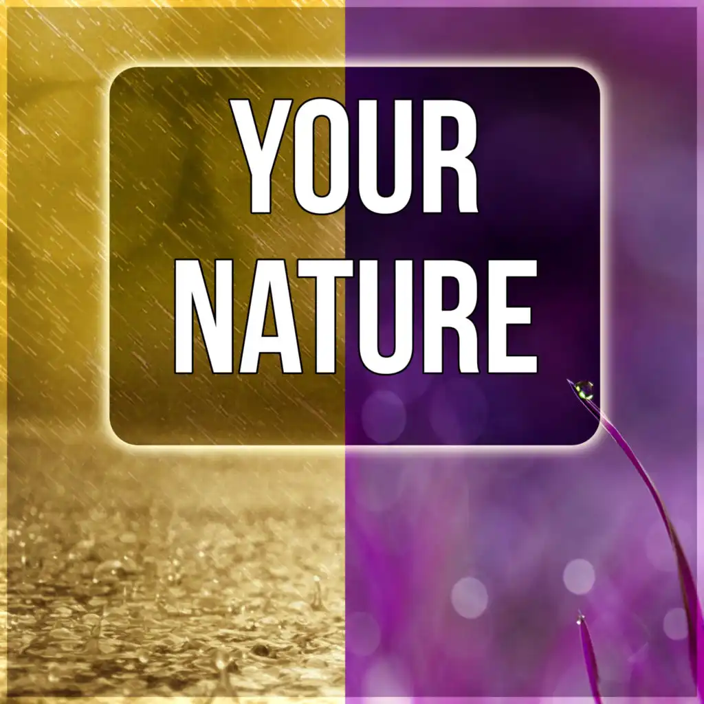 Your Nature - Soothing Spa Nature Relaxation, Calming Nature Sounds, Pacific Ocean Waves for Well Being and Healthy Lifestyle